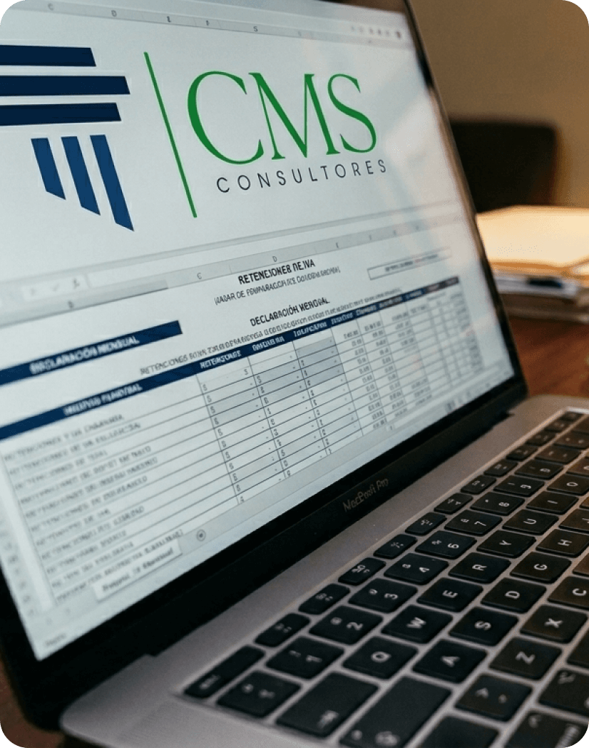 CMS Consultores